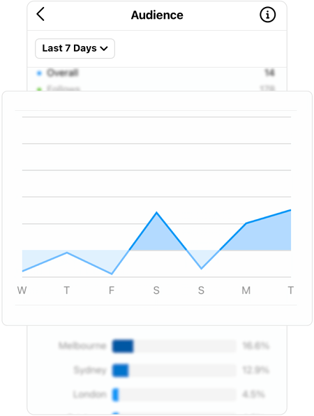 Screenshot of instagram audience insights with enlarged graph