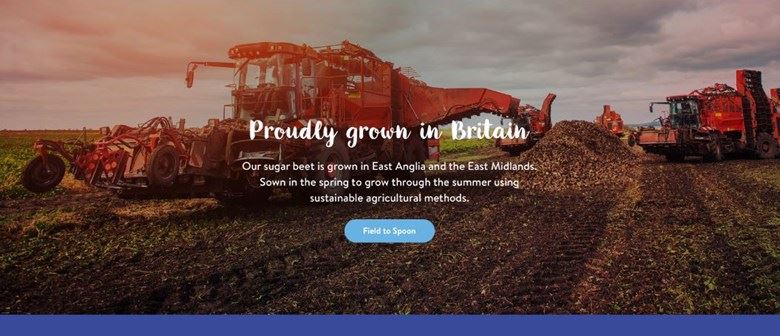 Silver Spoon Website Footer